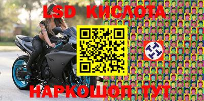 гидропоника Краснодар