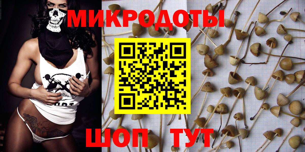 Псилоцибиновые грибы MAGIC MUSHROOMS  Псилоцибиновые грибы Psilocybine cubensis  Кондопога  Вход с VPN 